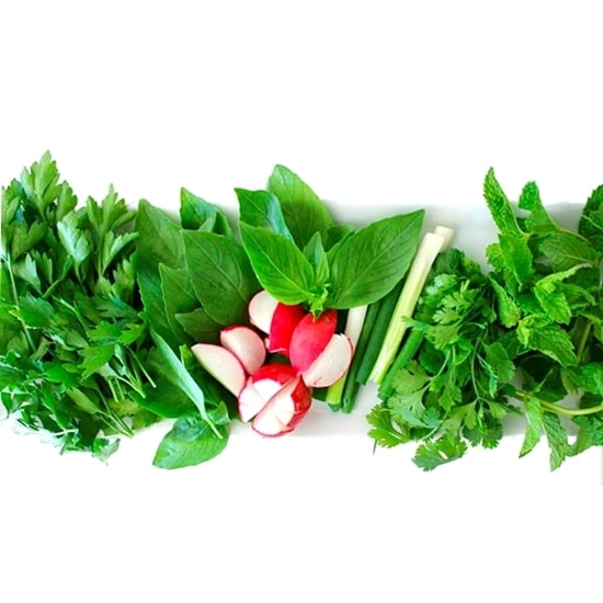 Sabzi Khrodan includes these herbs: basil, mint, Persian leek (leek chives), savory, parsley, tarragon, leek, radish, coriander, scallion, dill, fenugreek and water cress.b